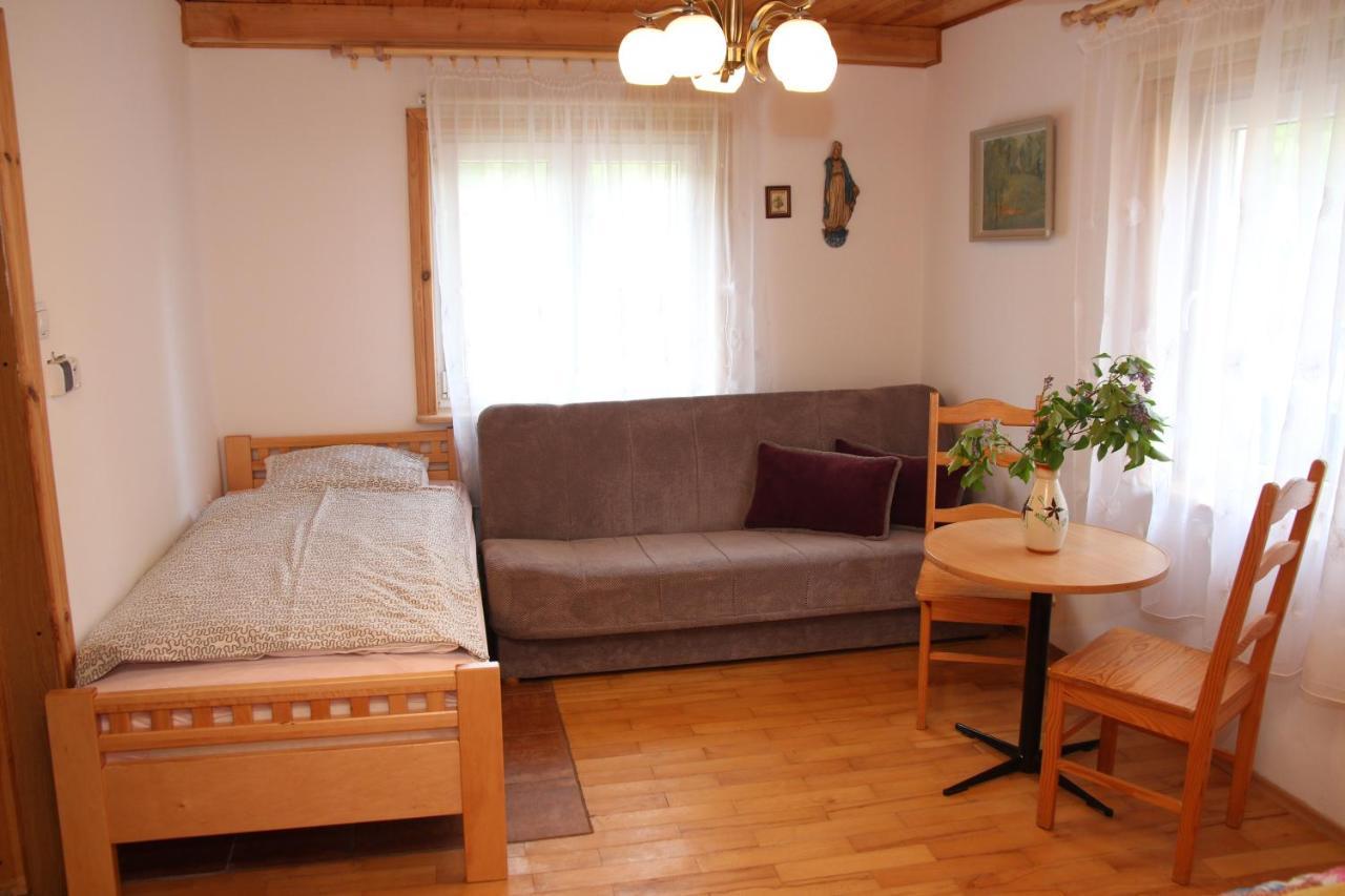 Vila Zamsowka Guciow Exteriér fotografie